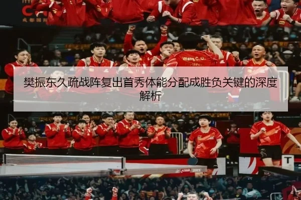 樊振东久疏战阵复出首秀体能分配成胜负关键的深度解析
